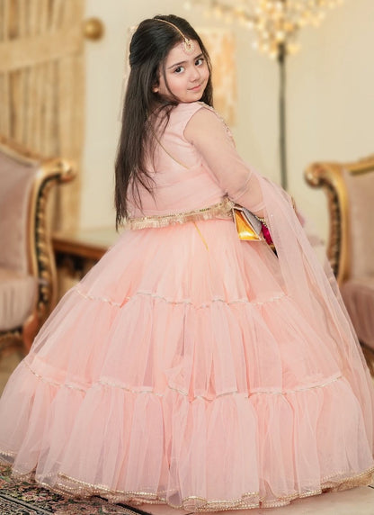 Product Image - Designer Lahenga-Choli Set for Girls with Butterfly Net