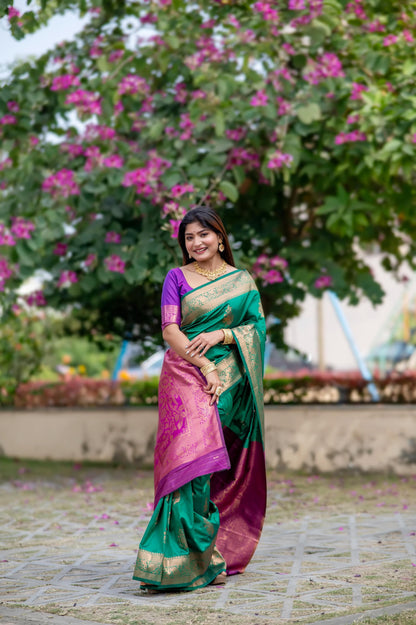 Product Image - Designer Georgette Ethnic Saree