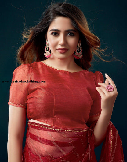 Red Net Plain Saree
