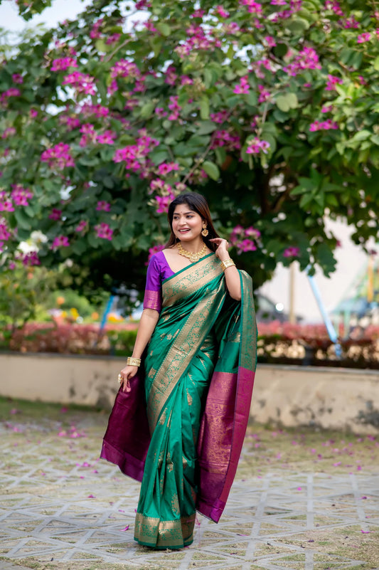 Product Image - Designer Georgette Ethnic Saree
