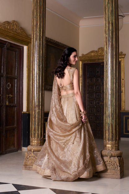 Product Image - Elegant Gold Crush Ethnic Lehenga Set