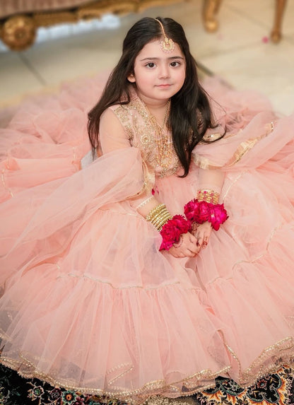 Product Image - Designer Lahenga-Choli Set for Girls with Butterfly Net