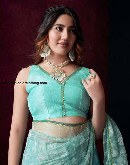 Blue Net Plain Saree