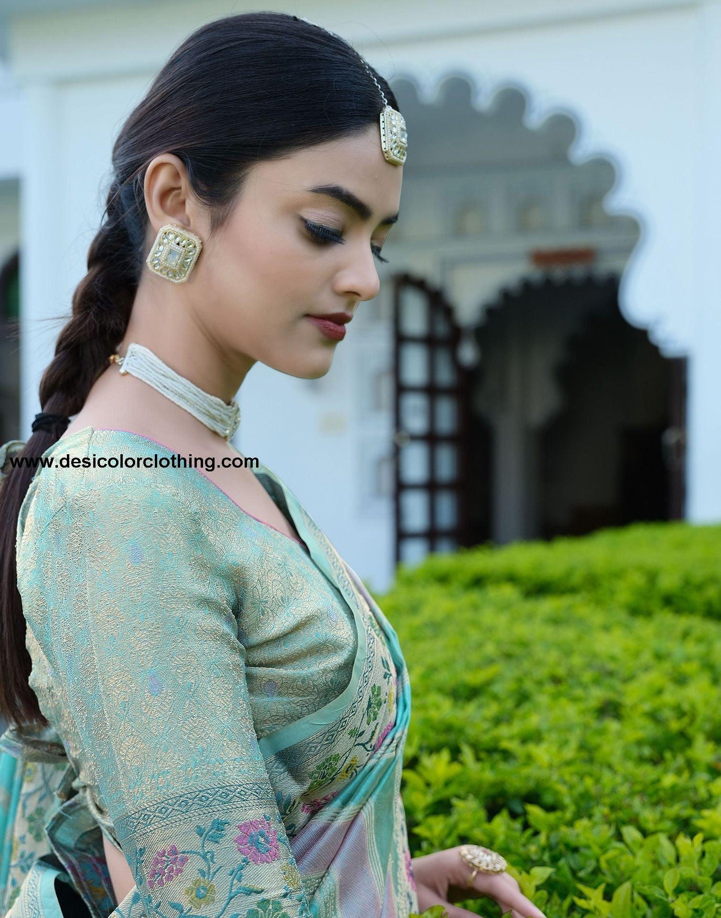 Sky Blue Woven Banarasi Organza Saree