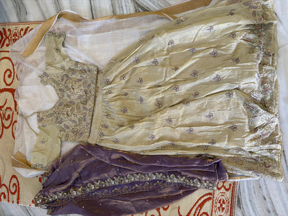 Product Image - Elegant Embroidered Lehenga Choli - 2