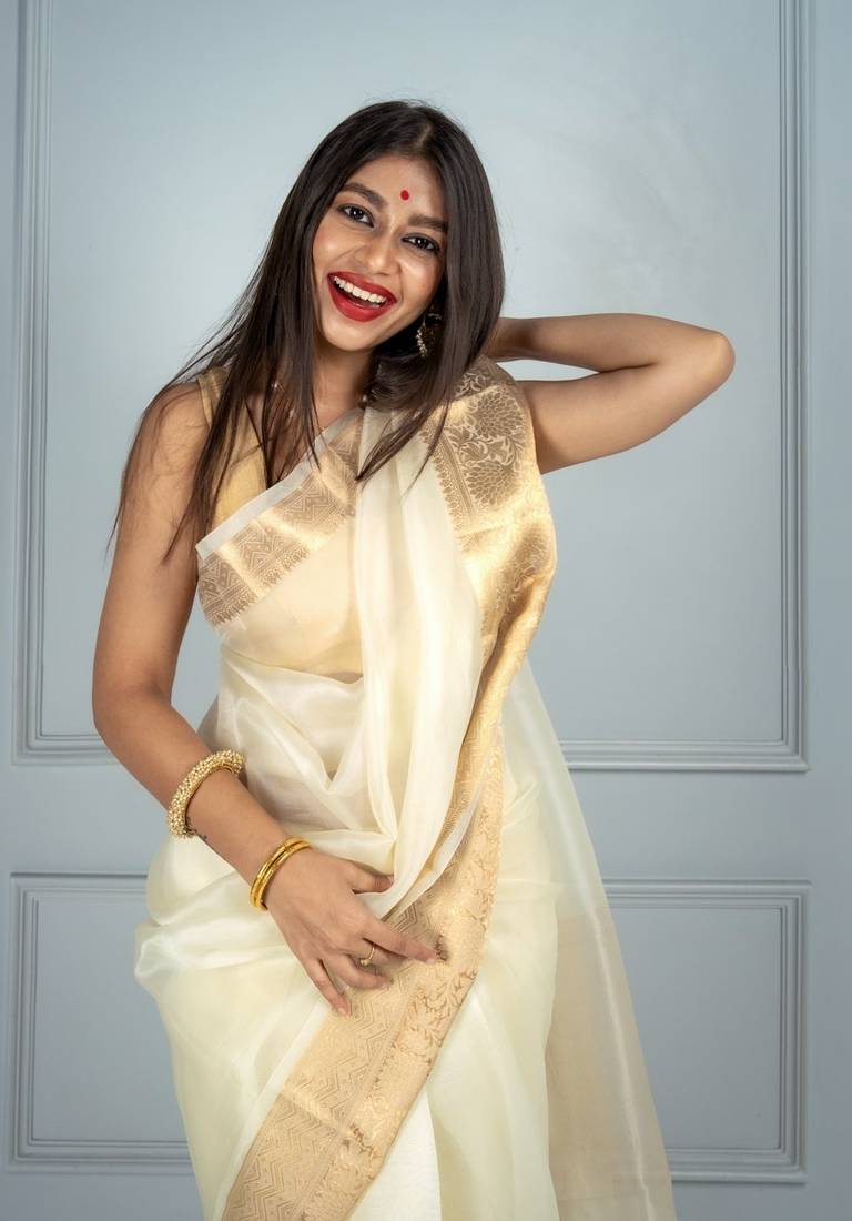 Organza Sarees in Stunning Colors – Elegance for Every Occasion