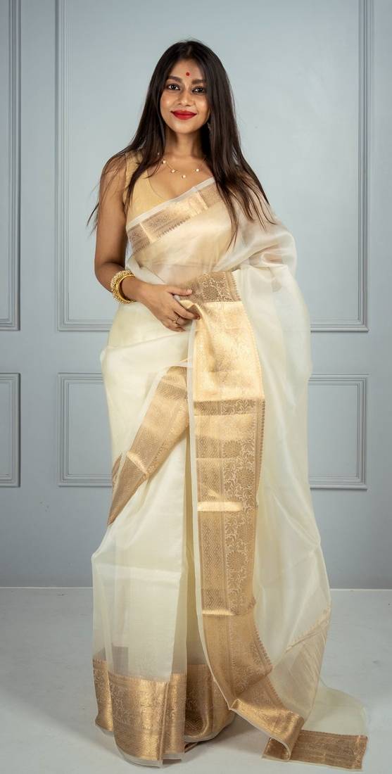 Organza Sarees in Stunning Colors – Elegance for Every Occasion