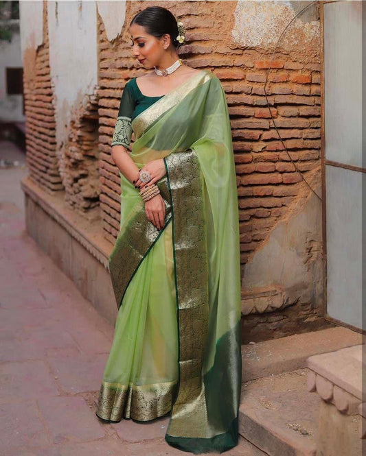 Organza Sarees in Stunning Colors – Elegance for Every Occasion