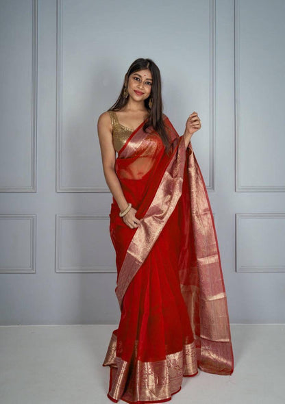 Organza Sarees in Stunning Colors – Elegance for Every Occasion