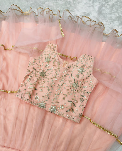 Product Image - Designer Lahenga-Choli Set for Girls with Butterfly Net