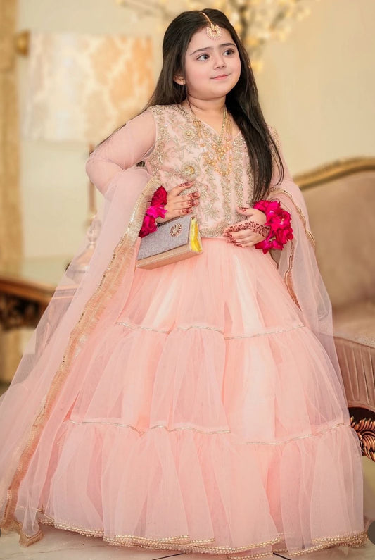 Product Image - Designer Lahenga-Choli Set for Girls with Butterfly Net