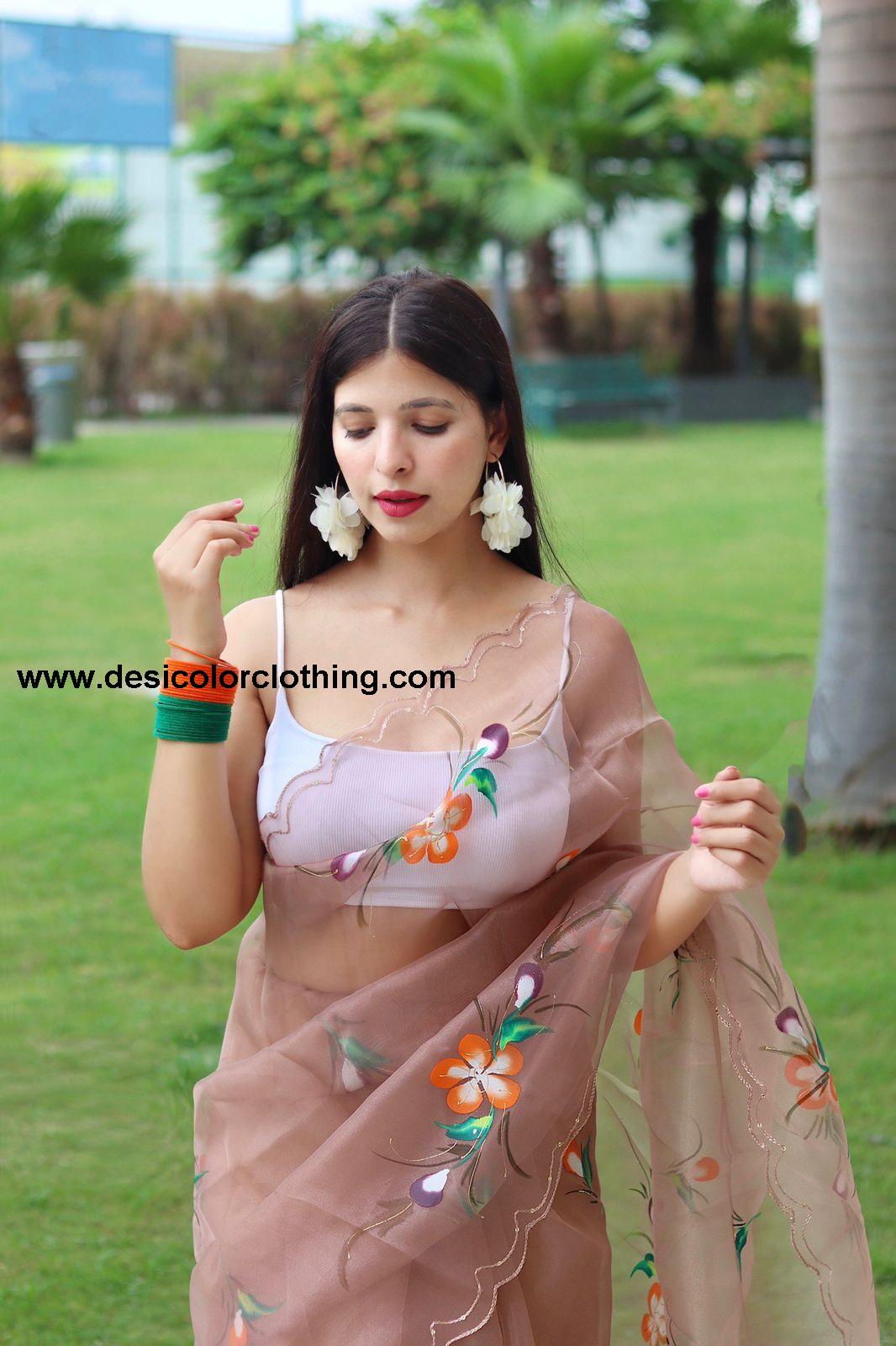 Beautiful Hand-Painted Organza Silk Saree – A Blend of Artistry and Elegance