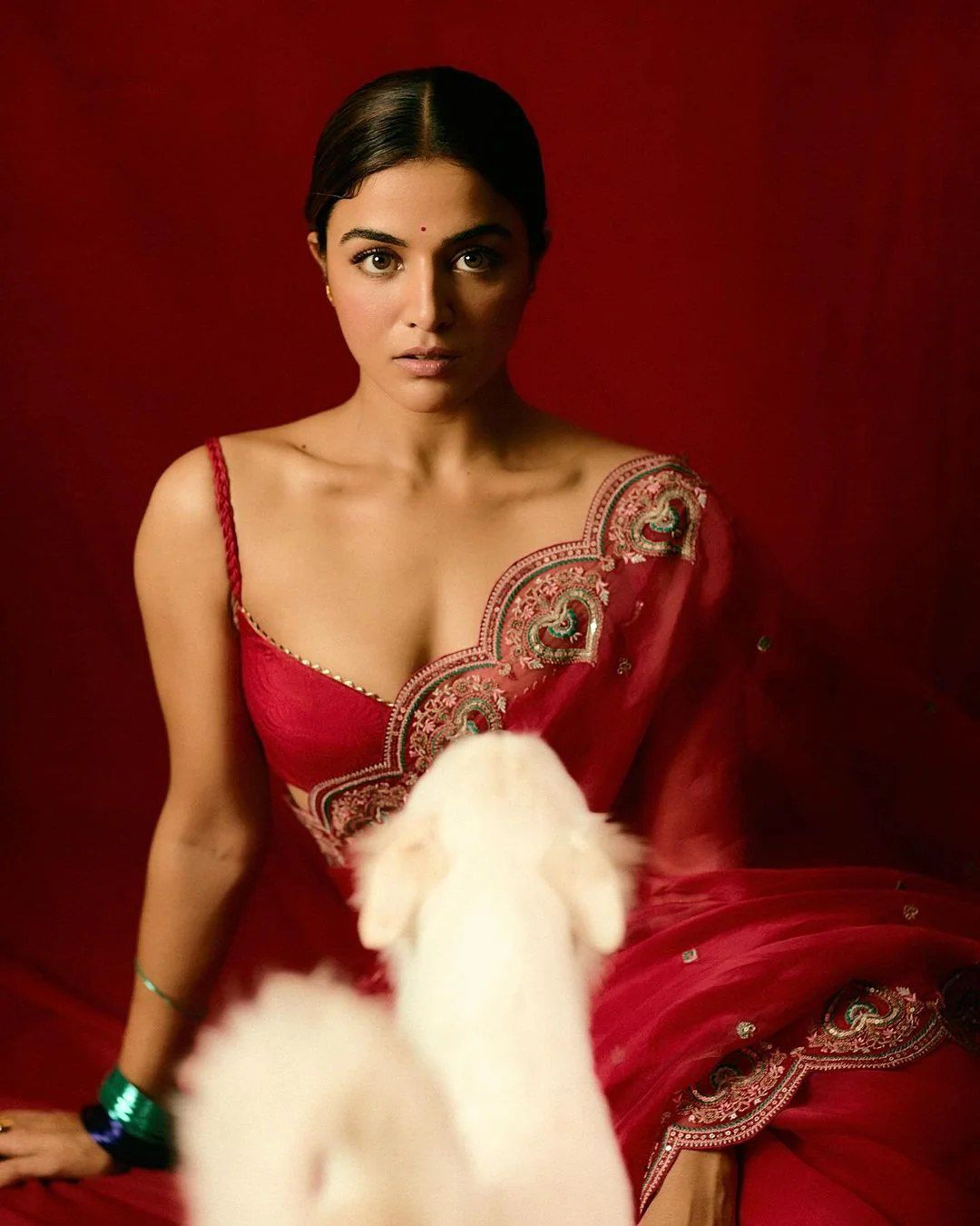 Product Image - Designer Rangoli Silk Saree with Fancy Thread & Sequence Work